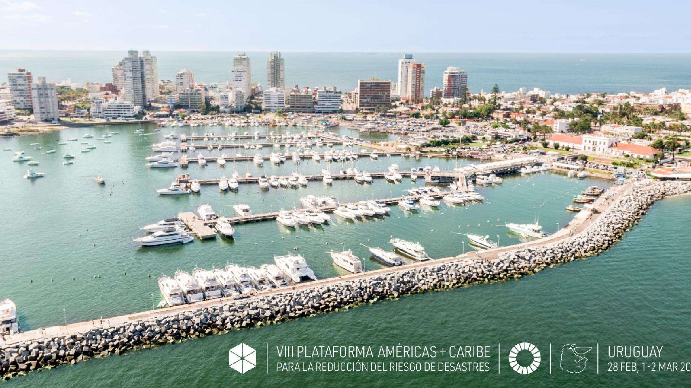 Regional Platform for Disaster Risk Reduction in the Americas and the Caribbean